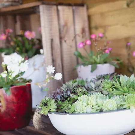 Casa vacanze Haus 57